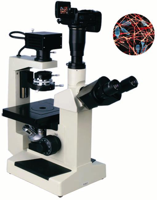 XSP-17C系列 倒置生物显微镜