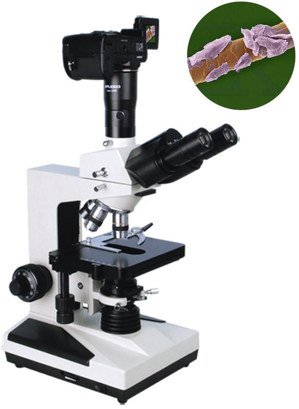 XSP-8C系列 生物显微镜